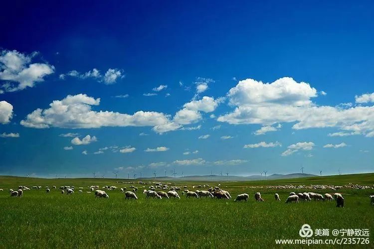呼伦贝尔，草原明珠的壮美画卷