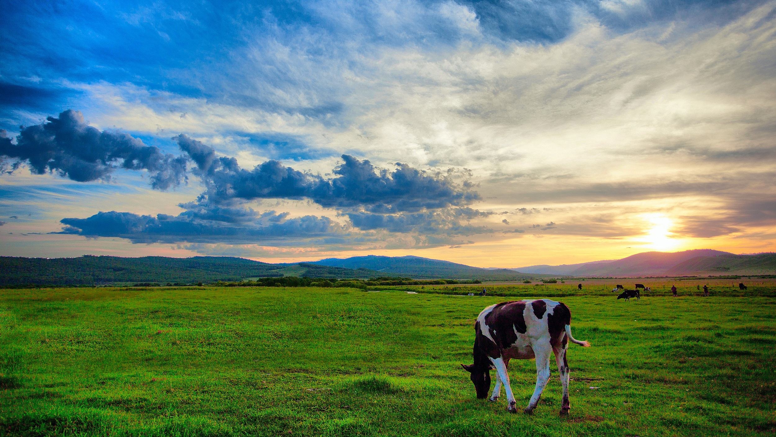 呼伦贝尔大草原,夕阳下的壮美画卷